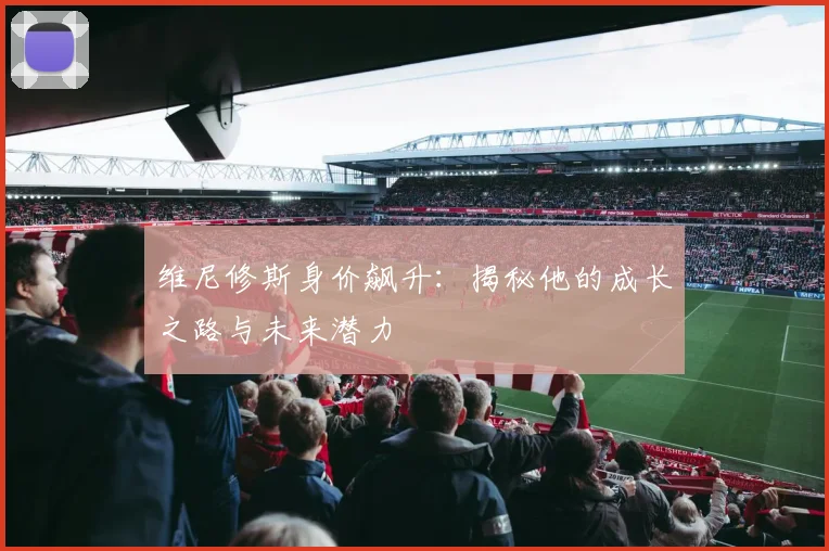 维尼修斯身价飙升:揭秘他的成长之路与未来潜力